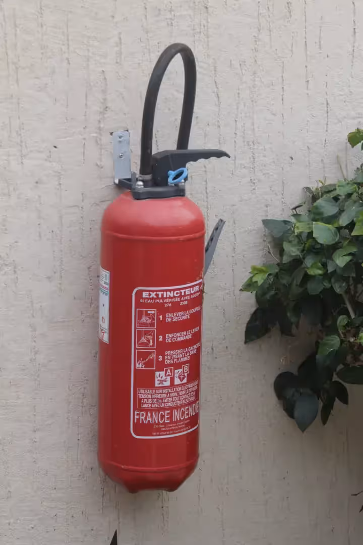 IMG_9639-ezgif.com-webp-to-avif-converter